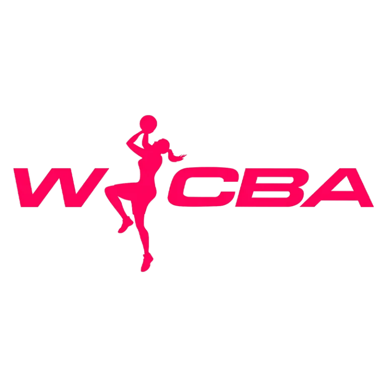 《WCBA 厦门环东文旅vs天津冠岚20241229》全集高清完整版在线观看与剧情解析