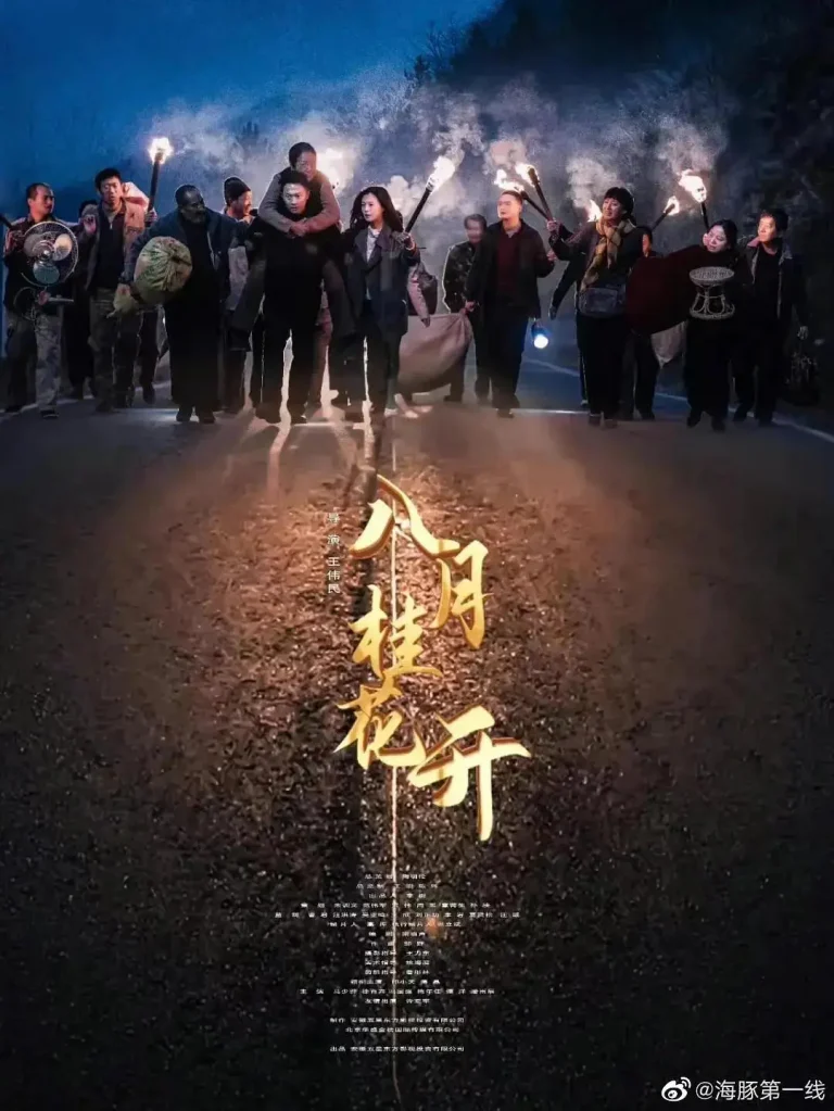 《八月桂花开》全集高清完整版在线观看与剧情解析