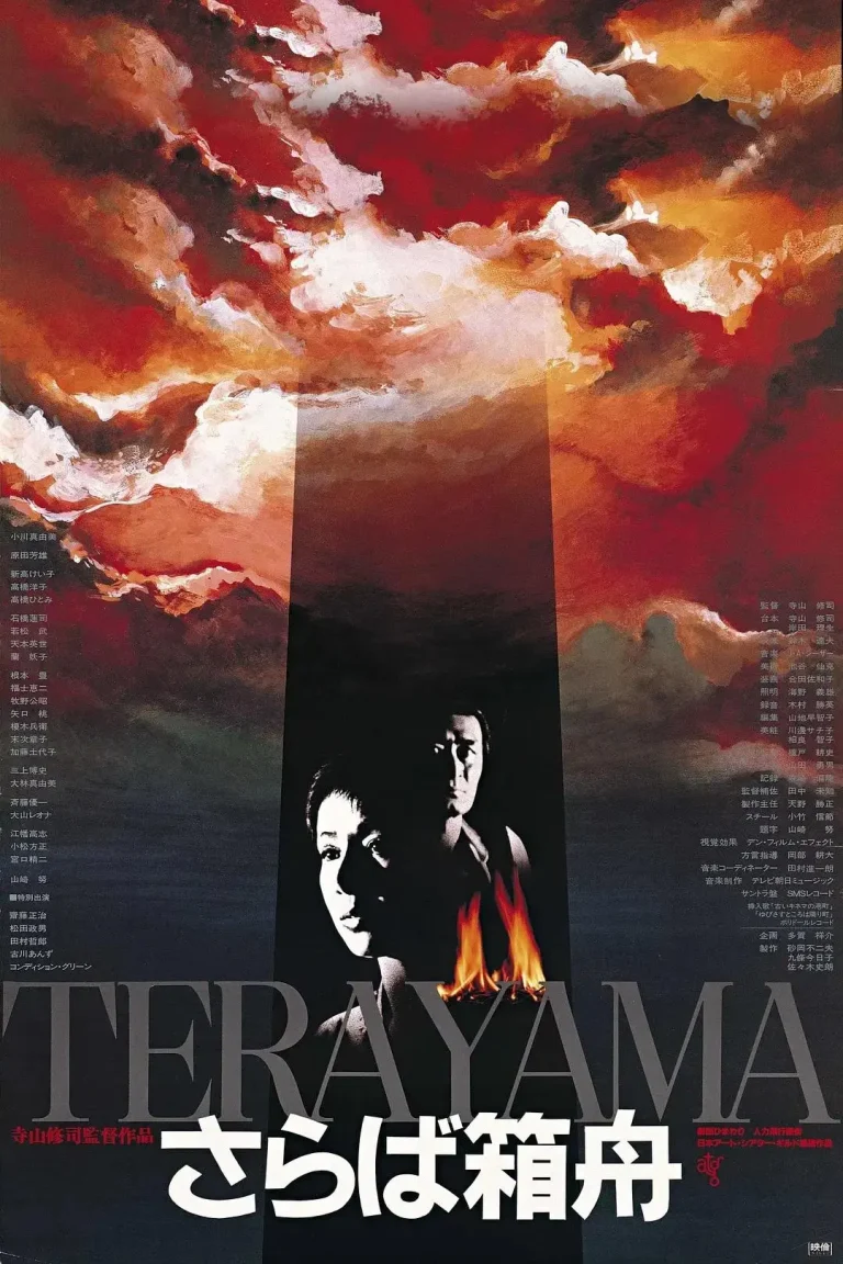 《再见箱舟》全集高清完整版在线观看与剧情解析