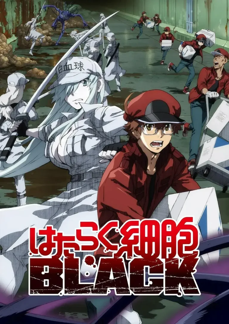 《工作细胞BLACK》全集高清完整版在线观看与剧情解析