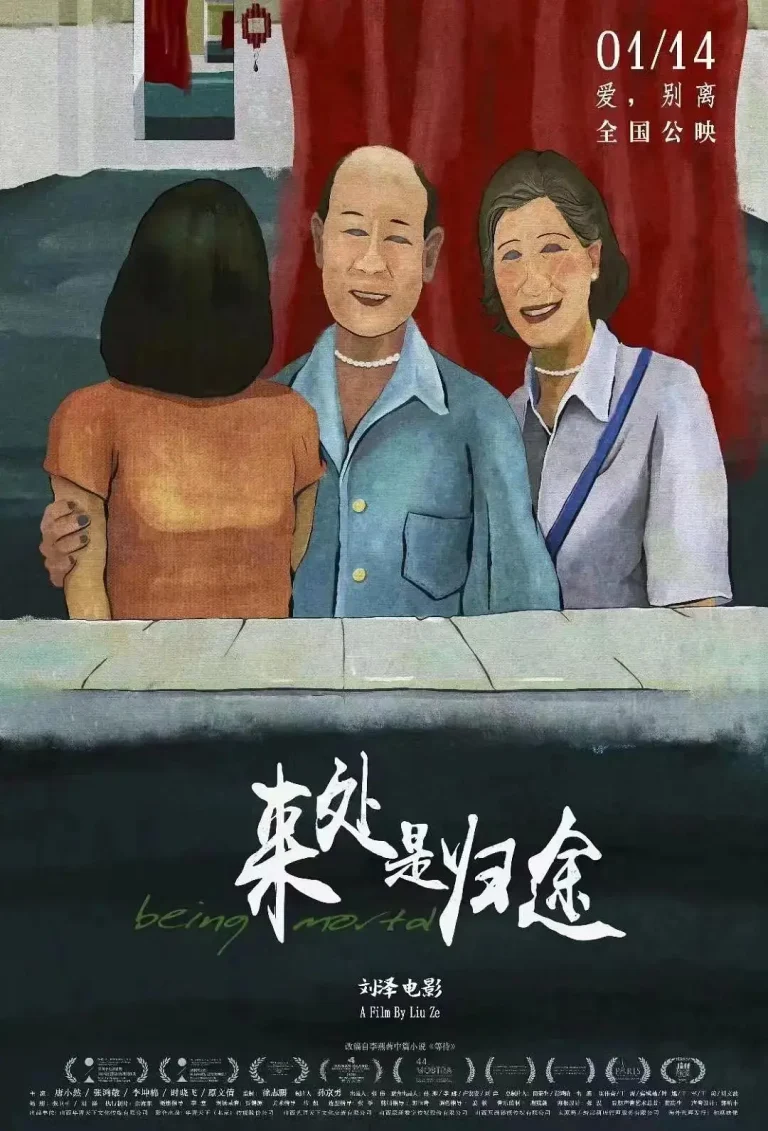 《来处是归途》全集高清完整版在线观看与剧情解析