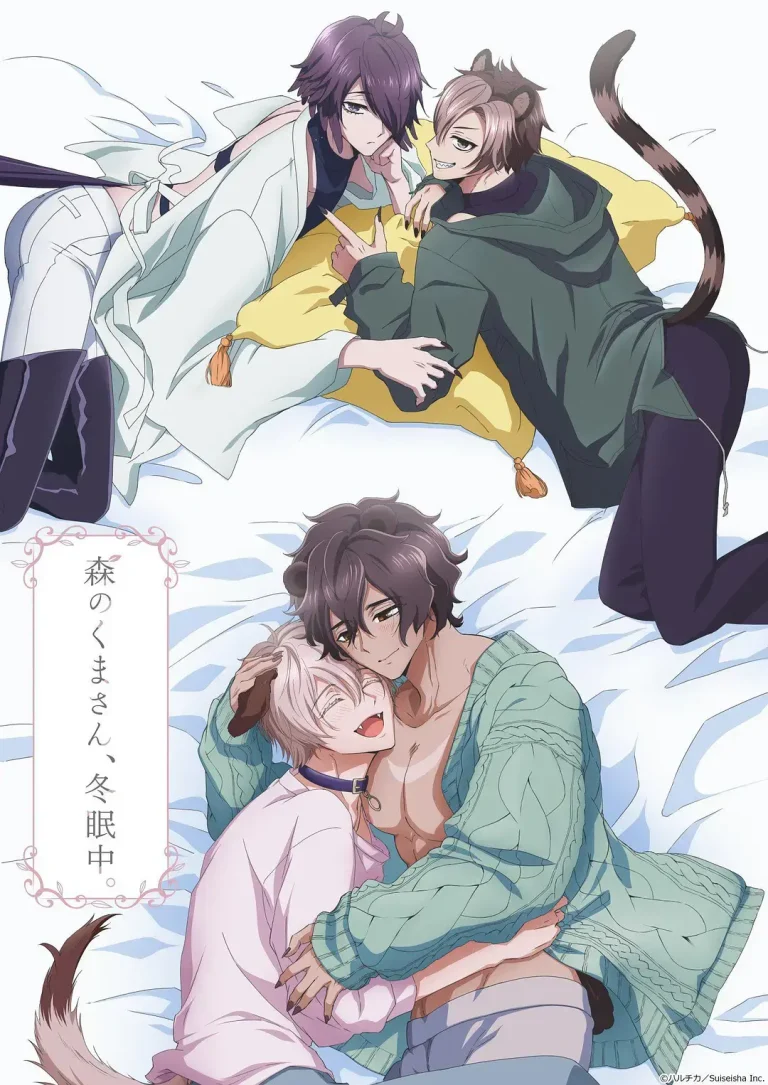 《森林里的熊先生冬眠中》全集高清完整版在线观看与剧情解析