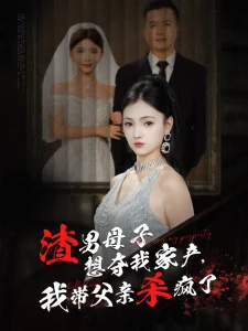渣男母子想夺我家产,我带父亲杀疯了