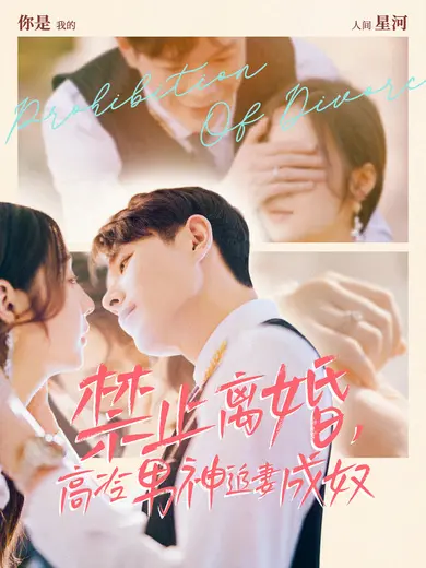 《禁止离婚,高冷男神追妻成奴》全集高清完整版在线观看与剧情解析