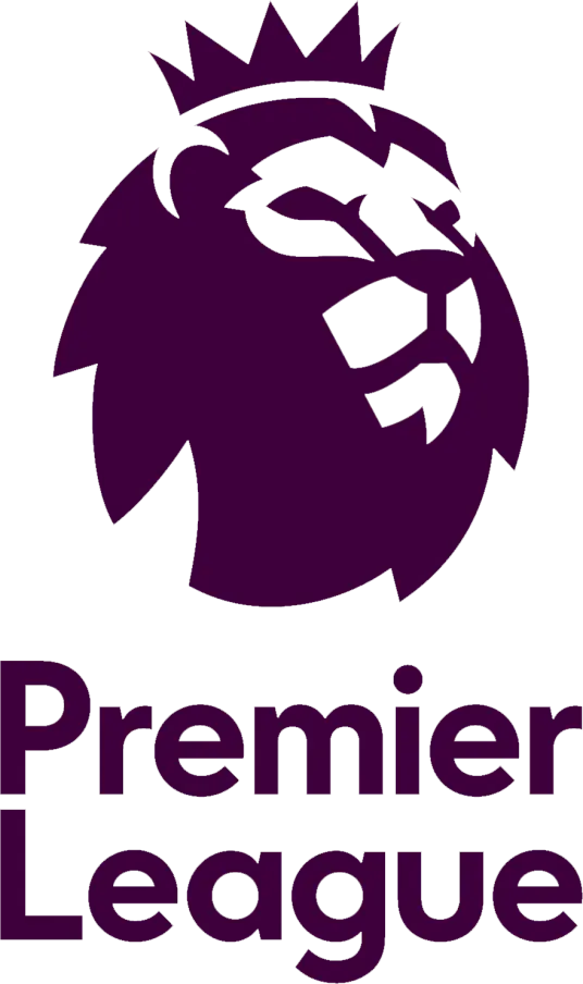 《英超 富勒姆vs南安普顿20241222》全集高清完整版在线观看与剧情解析